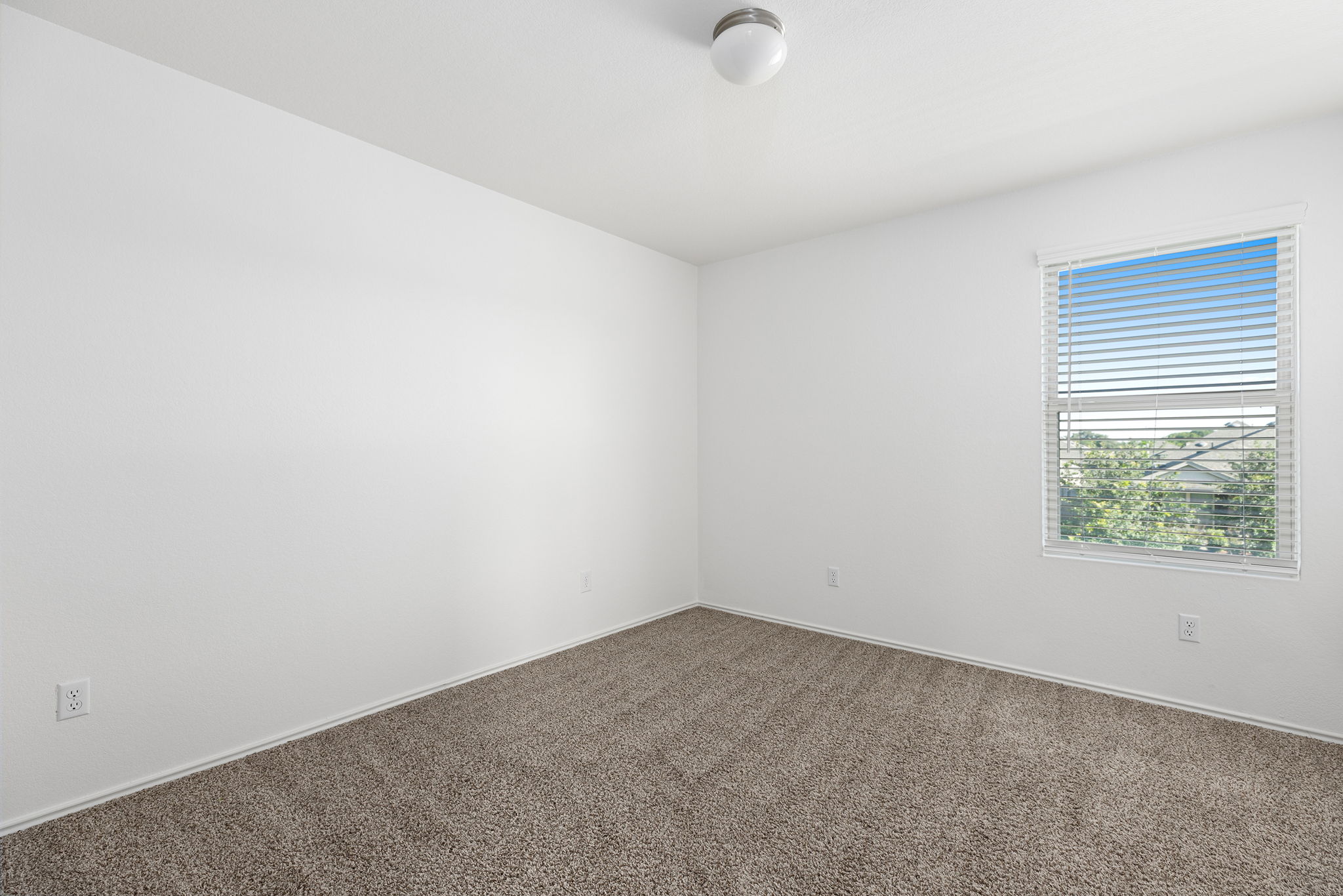 1428 Chad Drive, Georgetown, Texas image 41